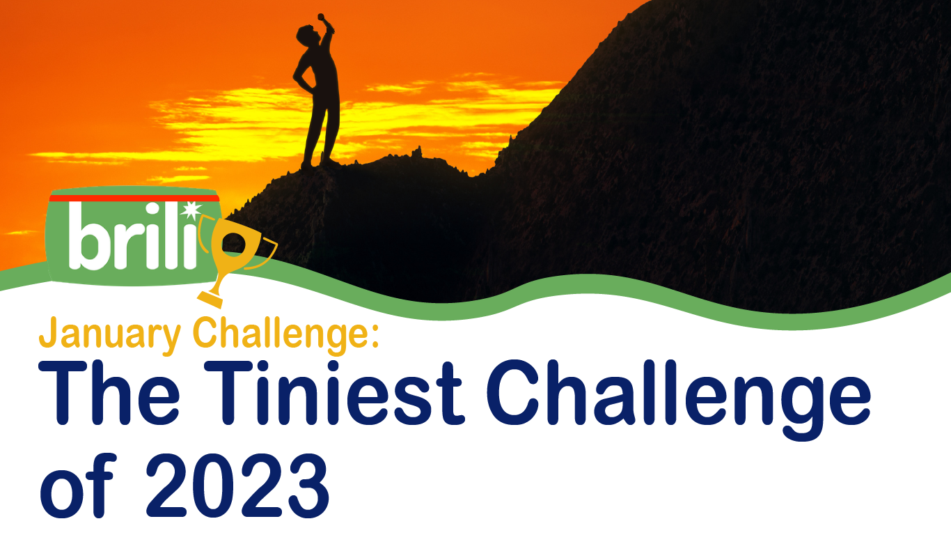 The Tiniest Challenge of 2023 With Brili