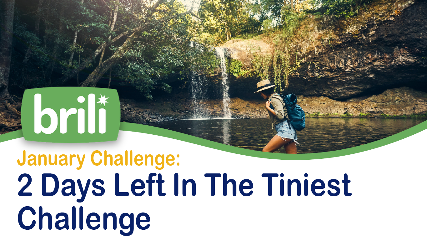 January Challenge: 2 Days Left In The Tiniest Challenge Of 2023